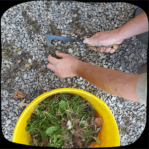 garden maintenance services weeding