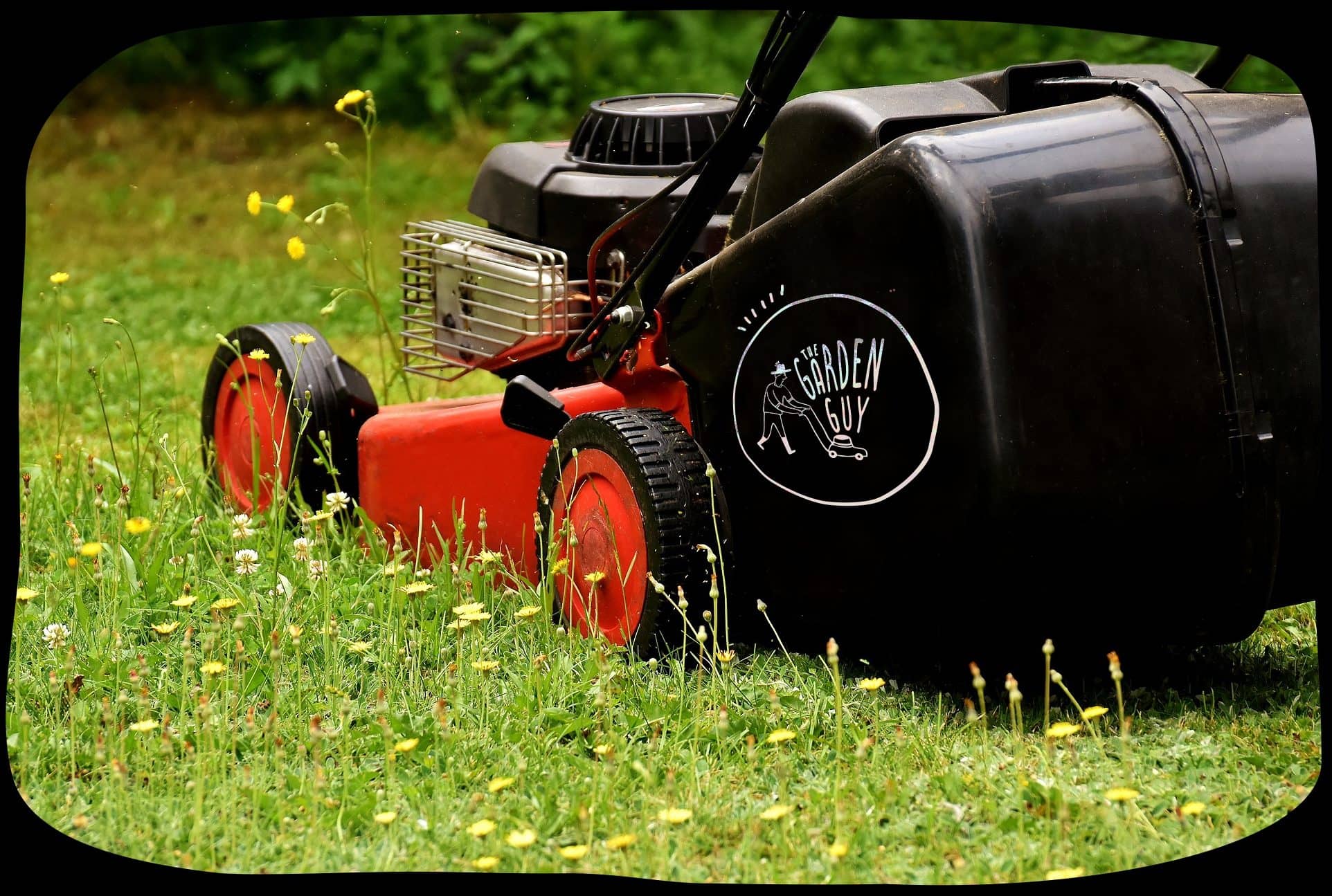 garden maintenance services mowing